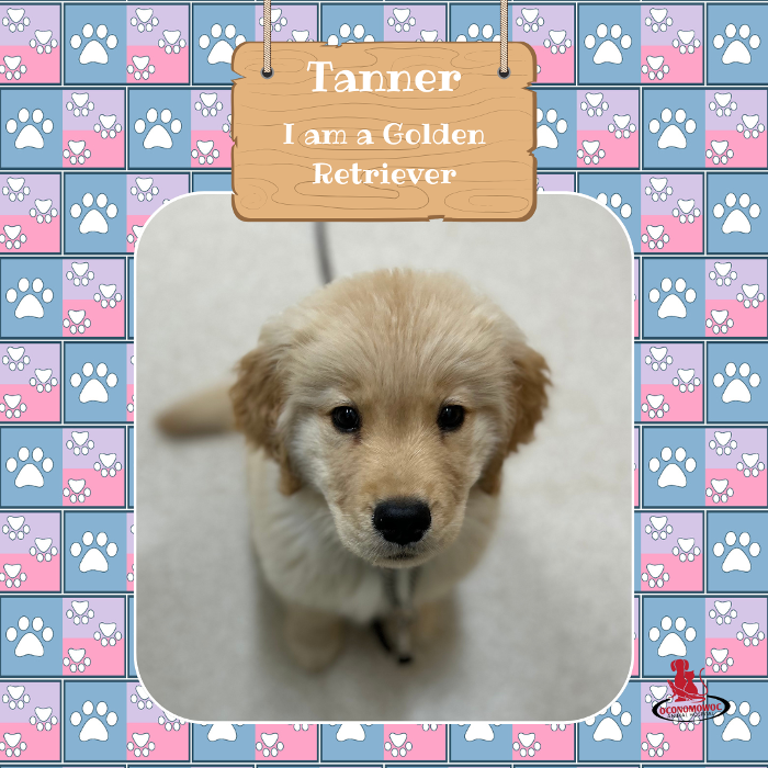 Oconomowoc Animal Hospital - Oconomowoc, WI