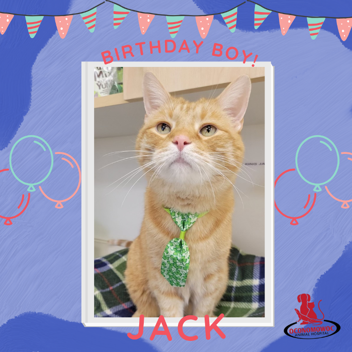 Oconomowoc Animal Hospital - Oconomowoc, WI