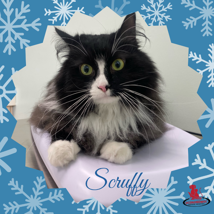 Oconomowoc Animal Hospital - Oconomowoc, WI