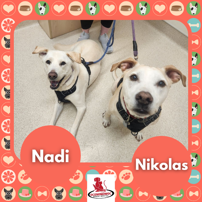 Oconomowoc Animal Hospital - Oconomowoc, WI