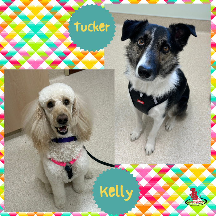 Oconomowoc Animal Hospital - Oconomowoc, WI