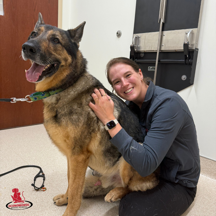 Oconomowoc Animal Hospital - Oconomowoc, WI