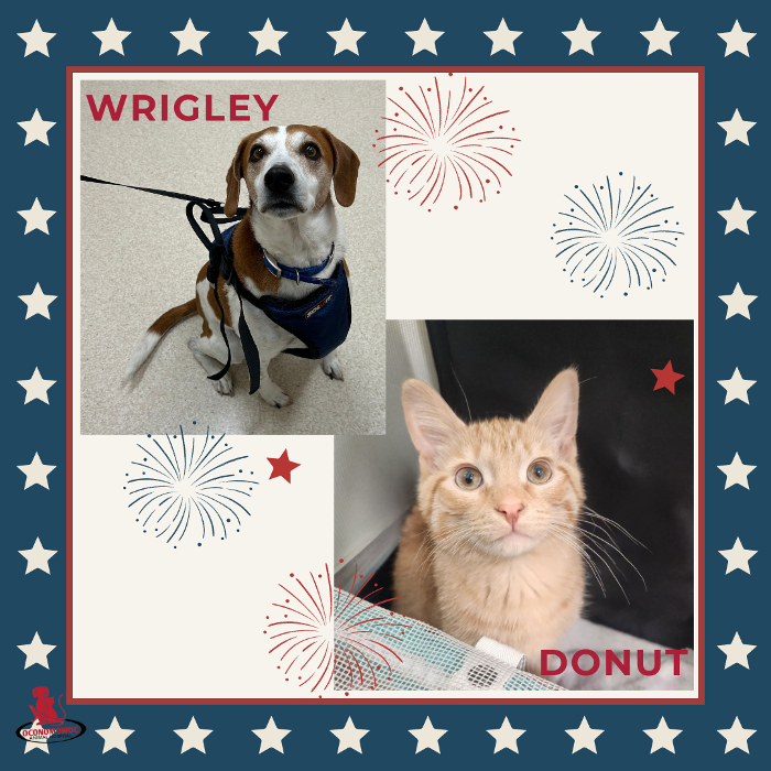 Oconomowoc Animal Hospital - Oconomowoc, WI