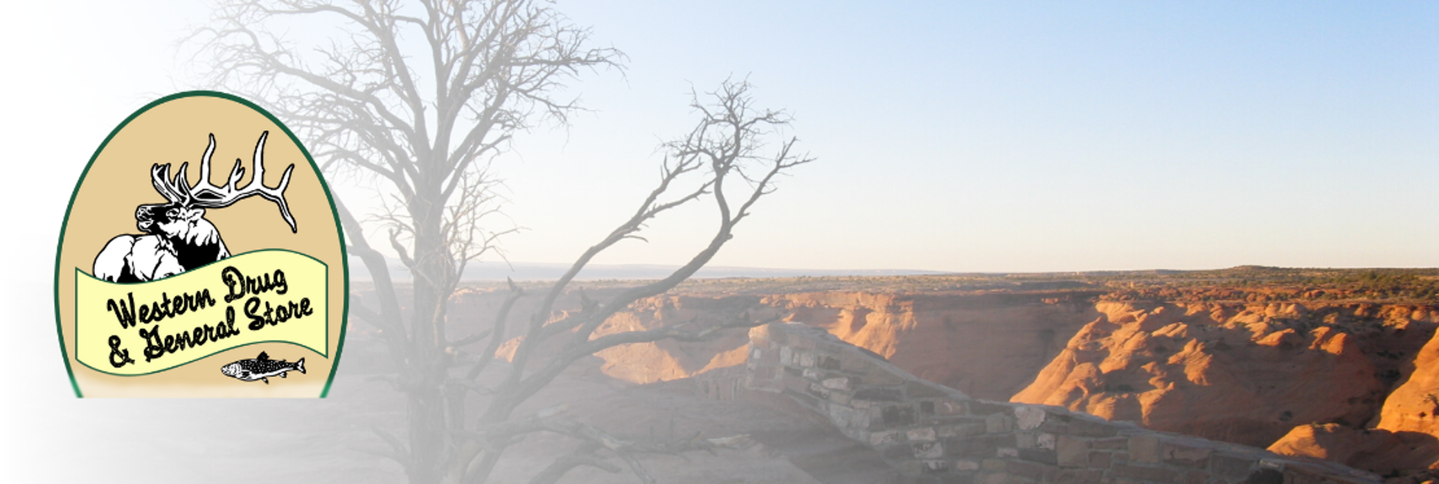 Western Drug & General Store Image