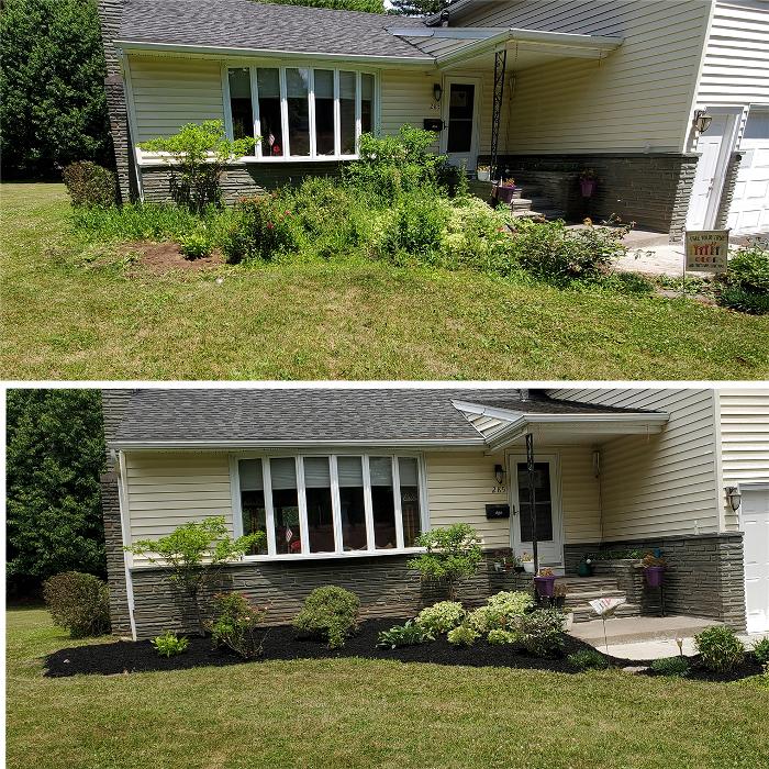 Fiorella Lawn & Landscaping Image
