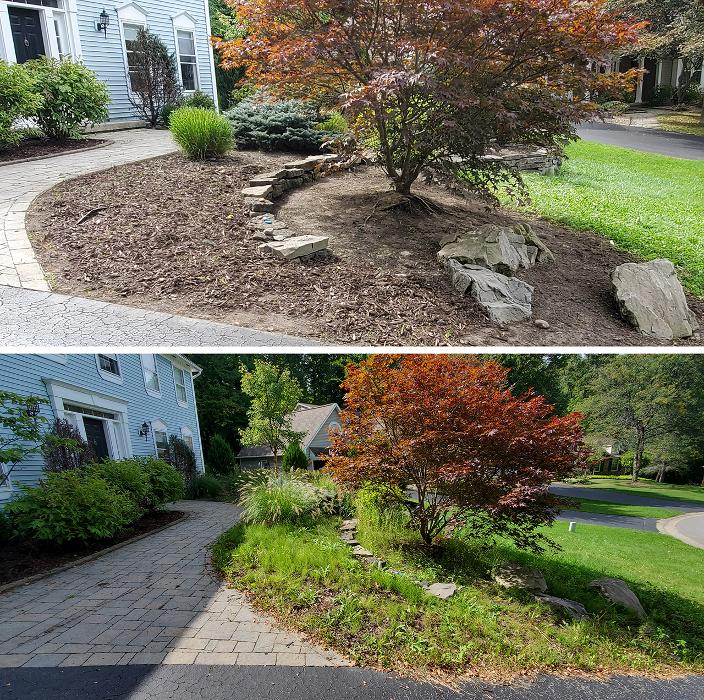 Fiorella Lawn & Landscaping Image