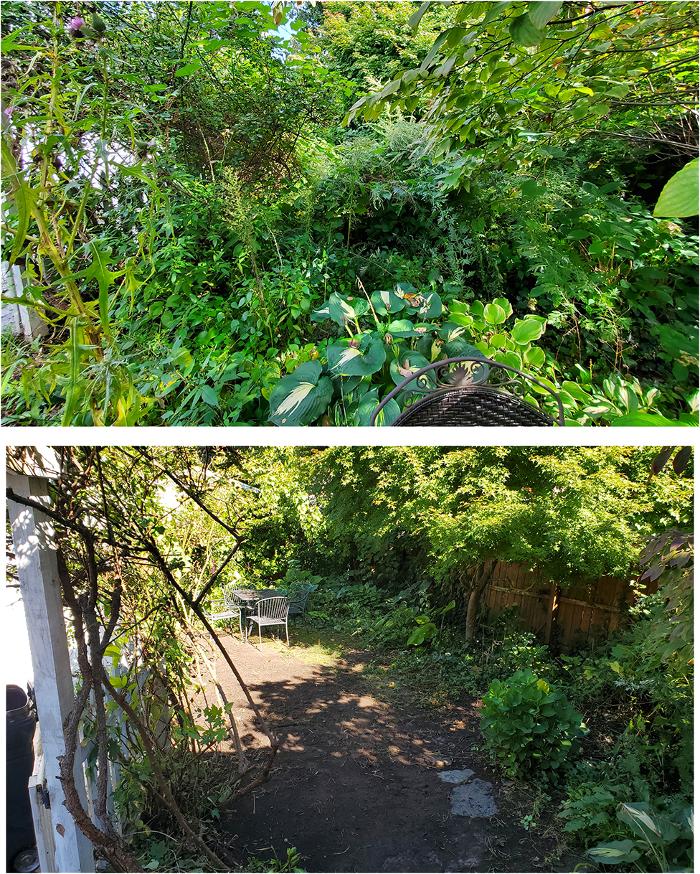 Fiorella Lawn & Landscaping Image