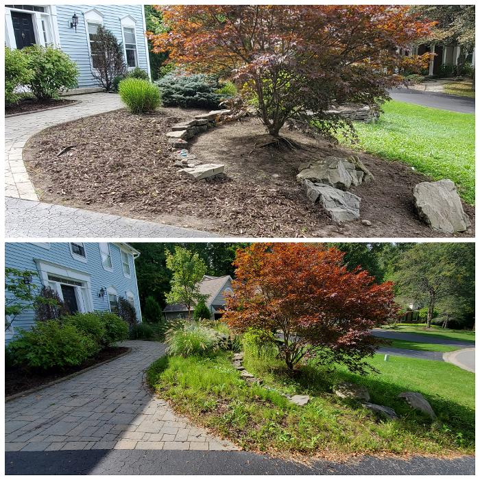 Fiorella Lawn & Landscaping Image