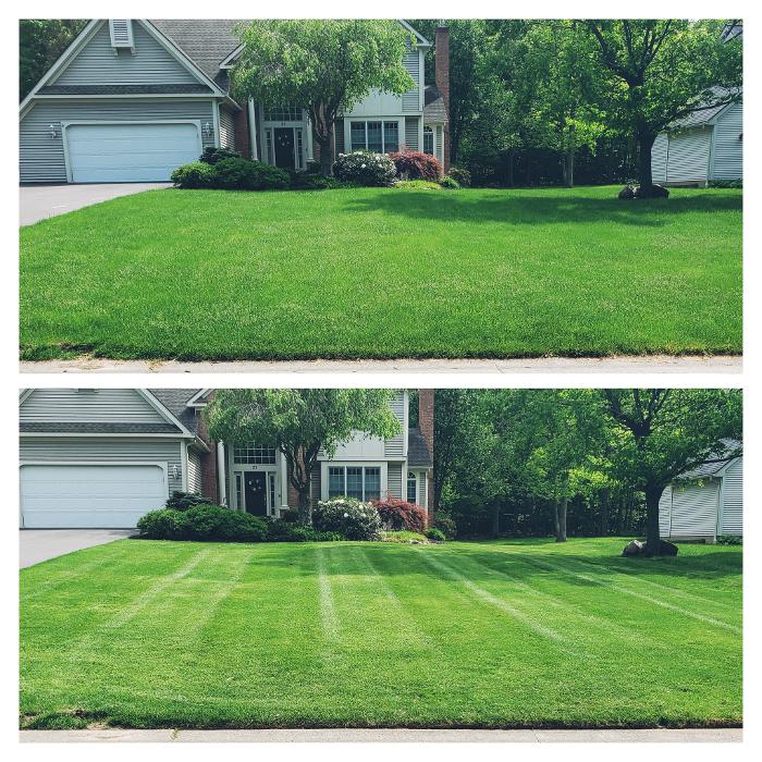 Fiorella Lawn & Landscaping Image