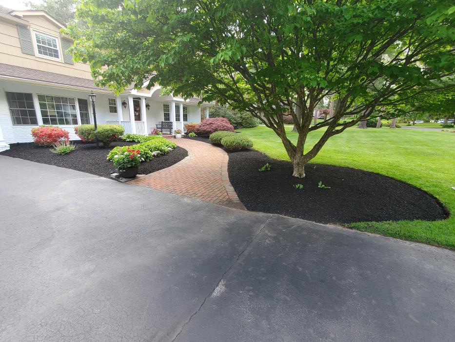 Fiorella Lawn & Landscaping Image