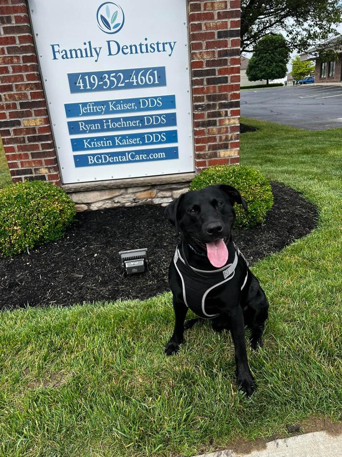 Dental Excellence of Bowling Green Image