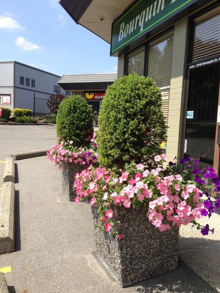 Bourquin Dental Centre of Abbotsford