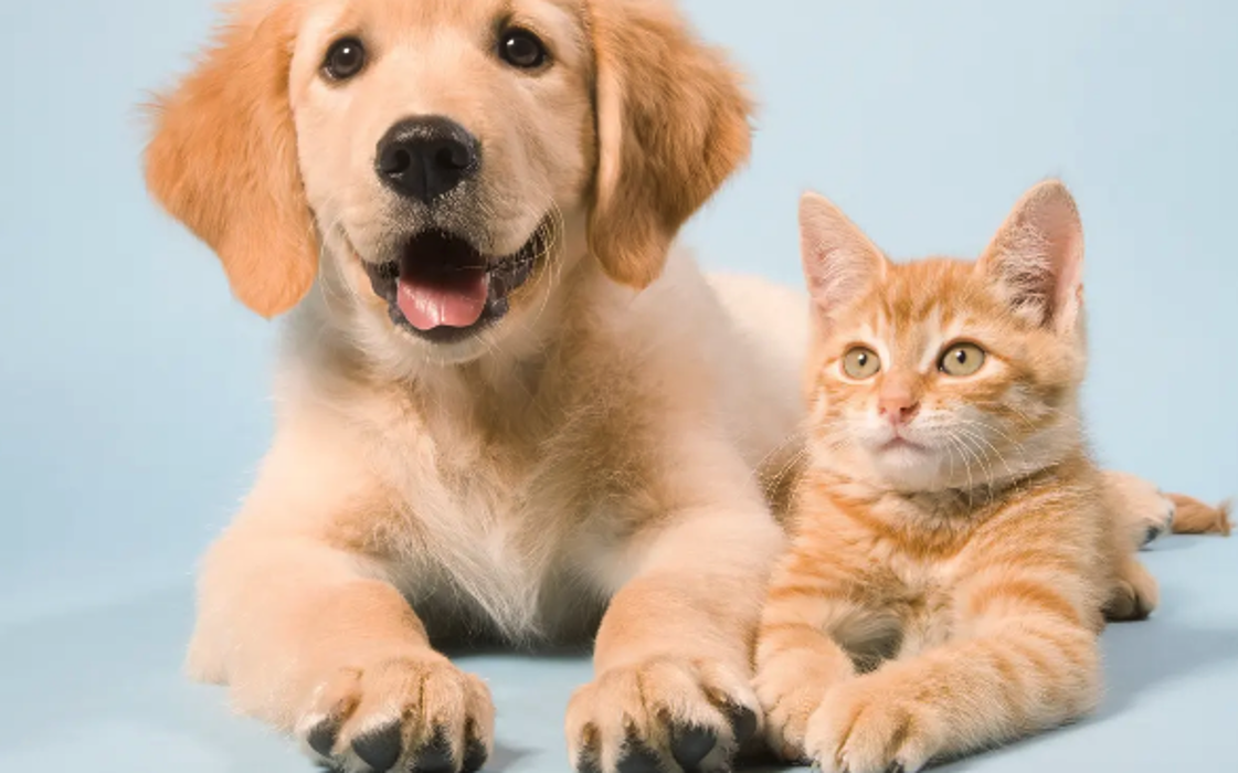 West Park Veterinary Services - Houma, LA