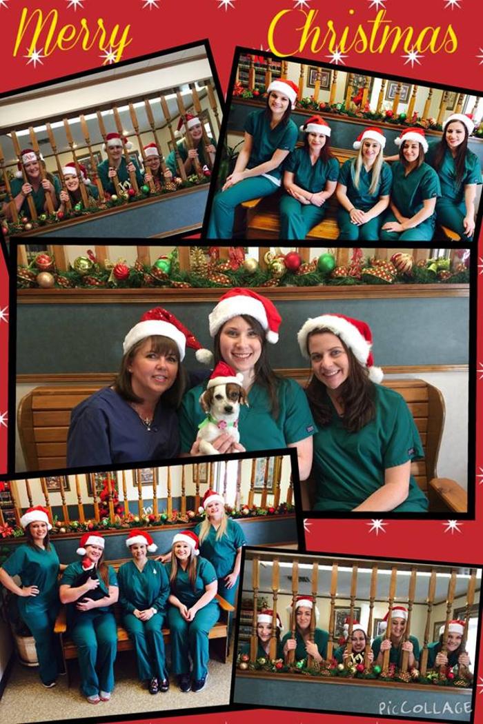 West Park Veterinary Services - Houma, LA