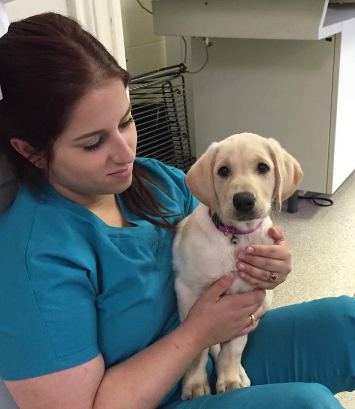 West Park Veterinary Services - Houma, LA