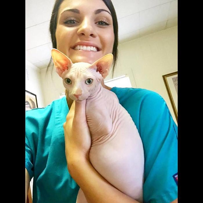 West Park Veterinary Services - Houma, LA