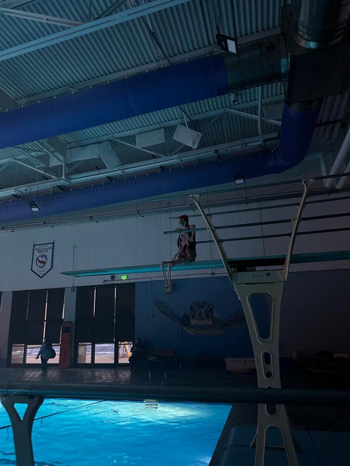 Carson Valley Swim Center - Minden, NV