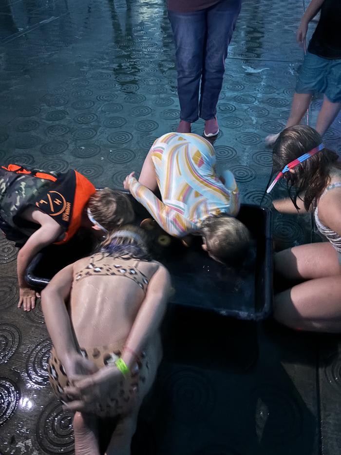 Carson Valley Swim Center - Minden, NV