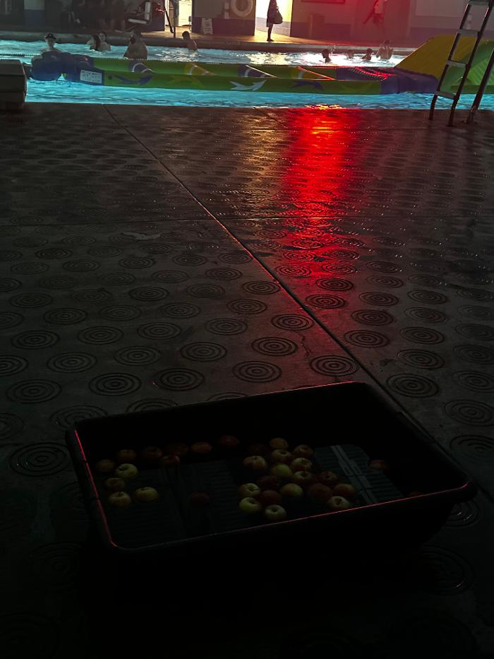 Carson Valley Swim Center - Minden, NV