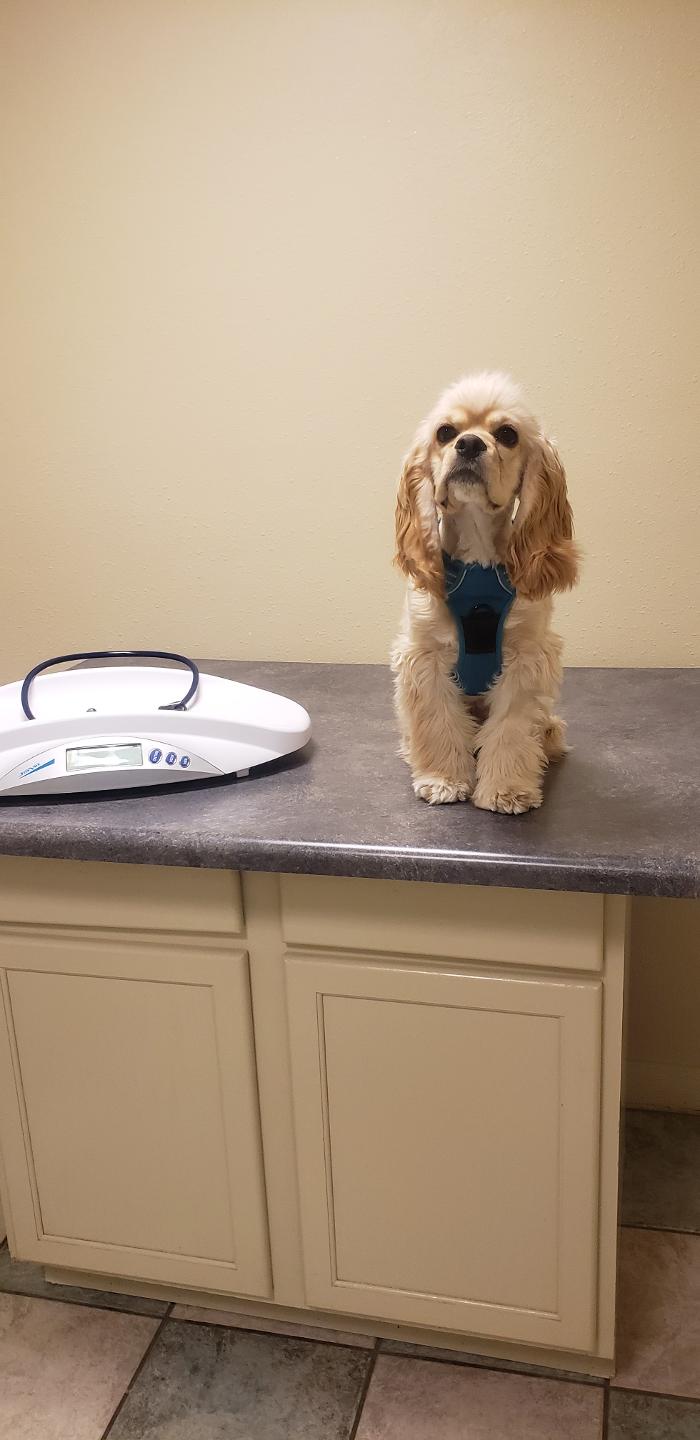 South 71 Veterinary Clinic - Willmar, MN