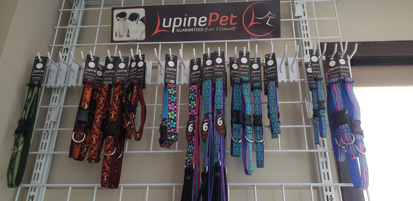 South 71 Veterinary Clinic - Willmar, MN