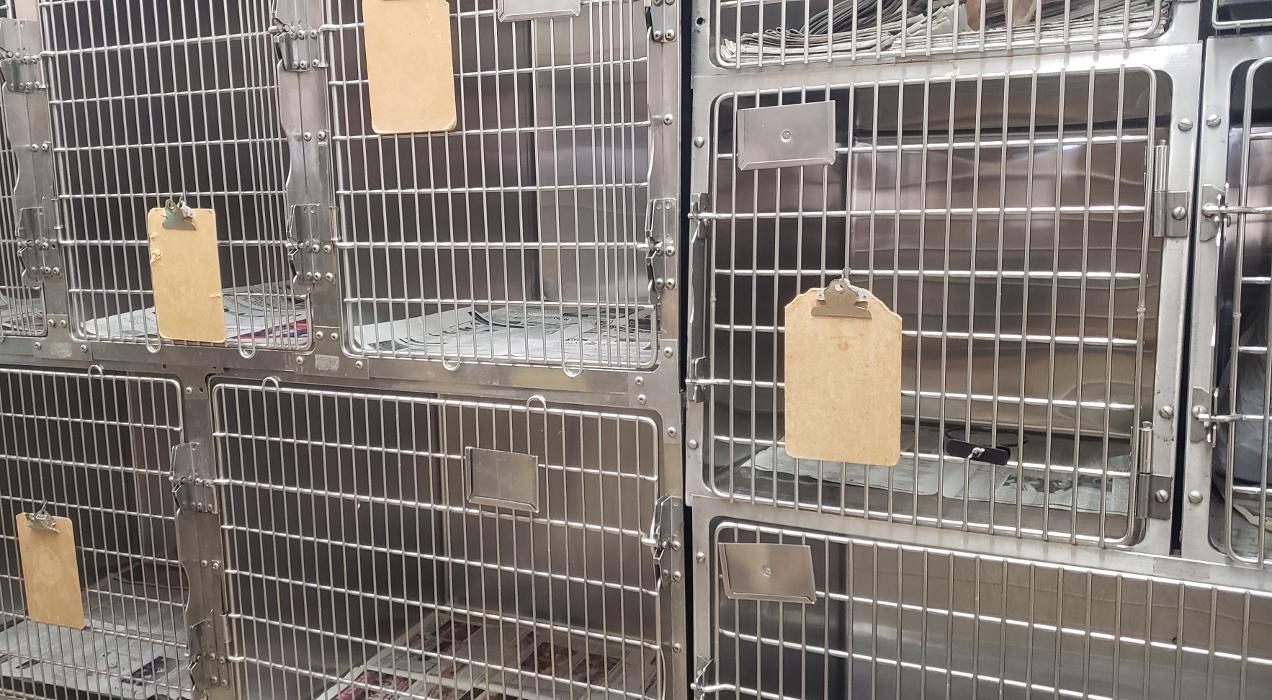 South 71 Veterinary Clinic - Willmar, MN