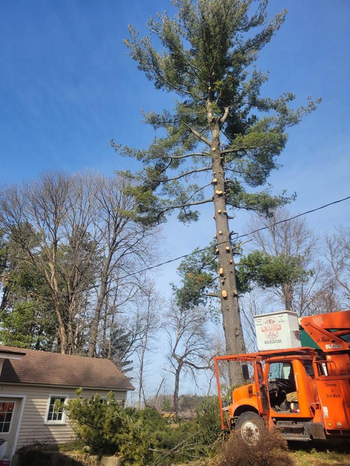 MJ Services and Contracting, LLC - Sparta, WI