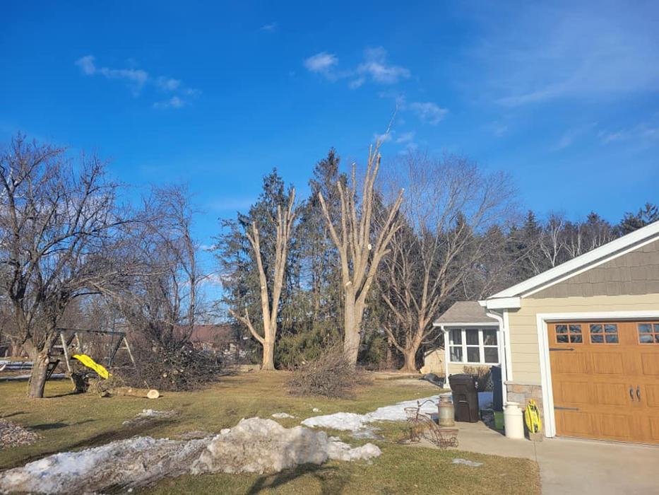 MJ Services and Contracting, LLC - Sparta, WI