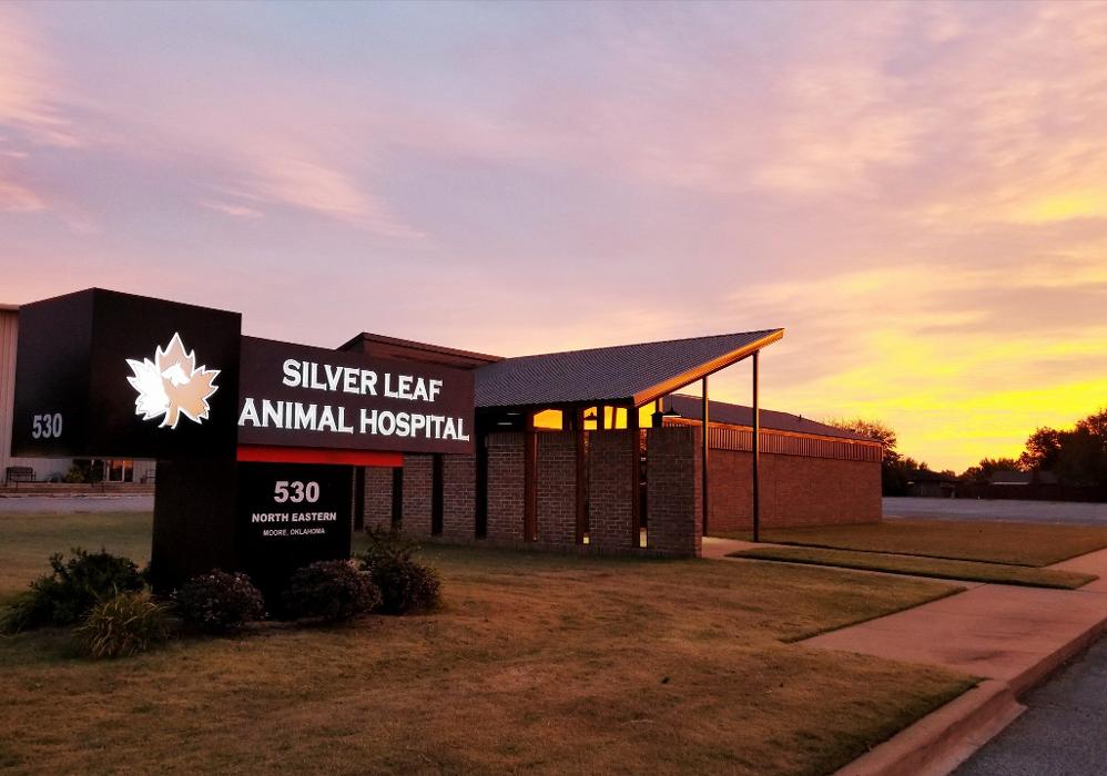 Silver Leaf Animal Hospital - Oklahoma City, OK