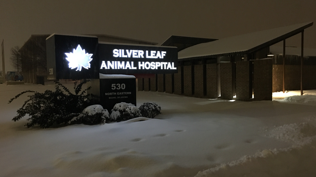 Silver Leaf Animal Hospital - Oklahoma City, OK
