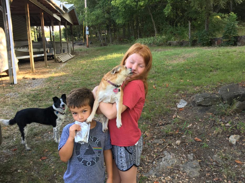 Silver Leaf Animal Hospital - Oklahoma City, OK