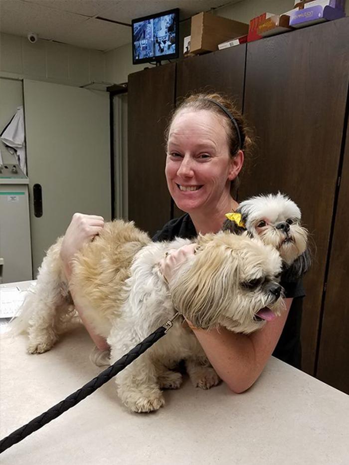 Silver Leaf Animal Hospital - Oklahoma City, OK