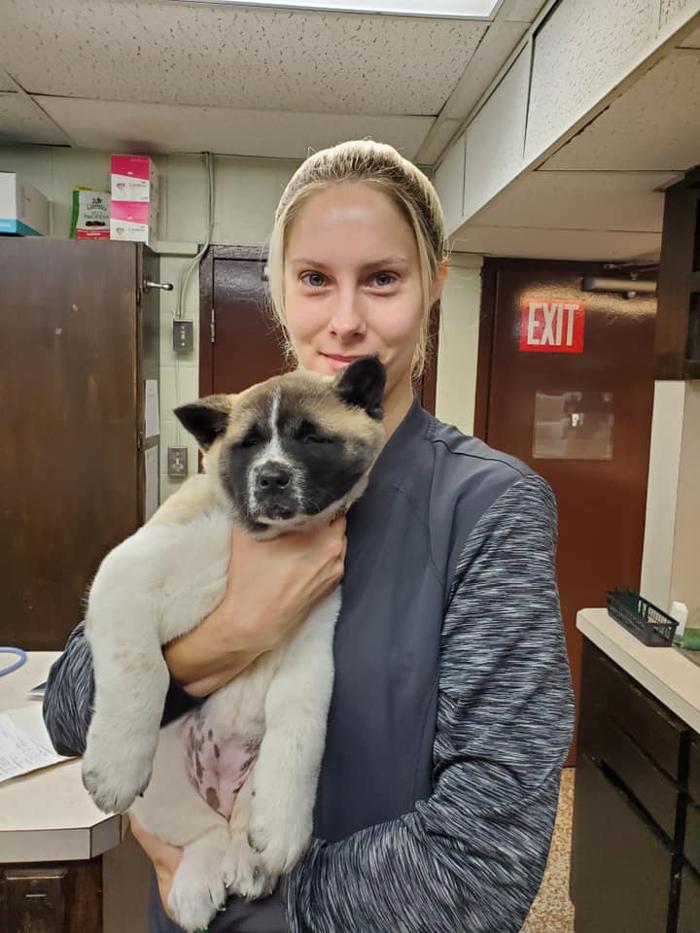 Silver Leaf Animal Hospital - Oklahoma City, OK