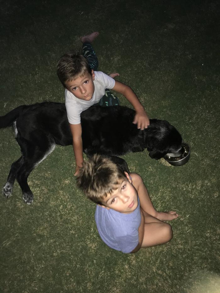 Silver Leaf Animal Hospital - Oklahoma City, OK