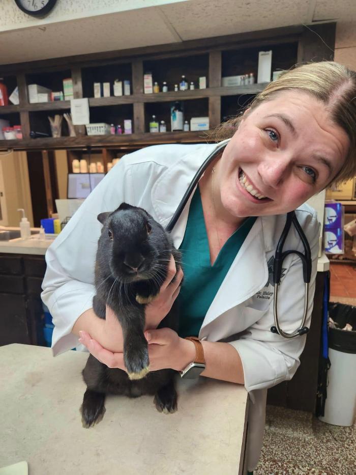 Silver Leaf Animal Hospital - Oklahoma City, OK