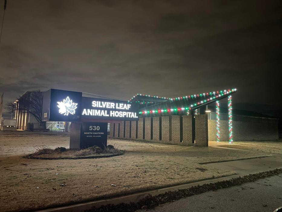 Silver Leaf Animal Hospital - Oklahoma City, OK