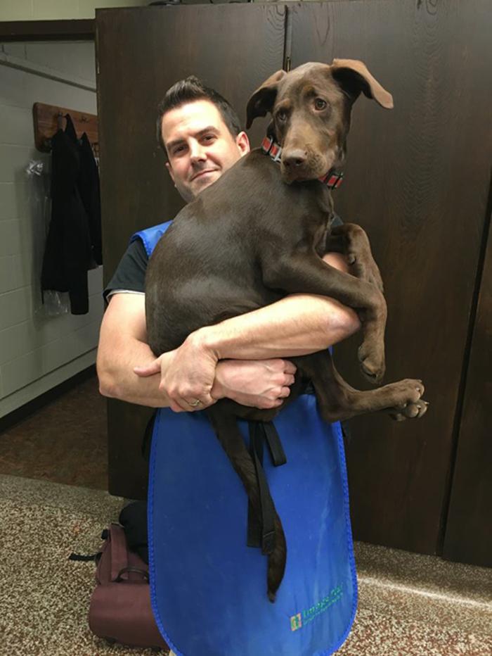 Silver Leaf Animal Hospital - Oklahoma City, OK