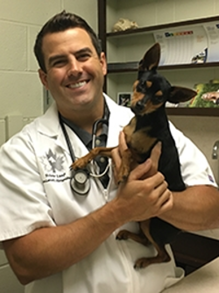 Silver Leaf Animal Hospital - Oklahoma City, OK