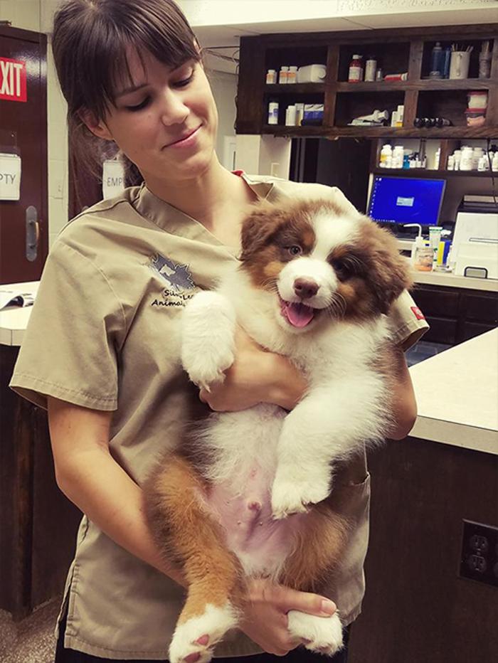 Silver Leaf Animal Hospital - Oklahoma City, OK