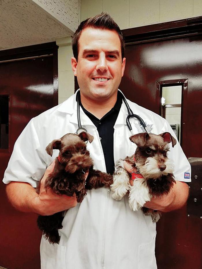 Silver Leaf Animal Hospital - Oklahoma City, OK