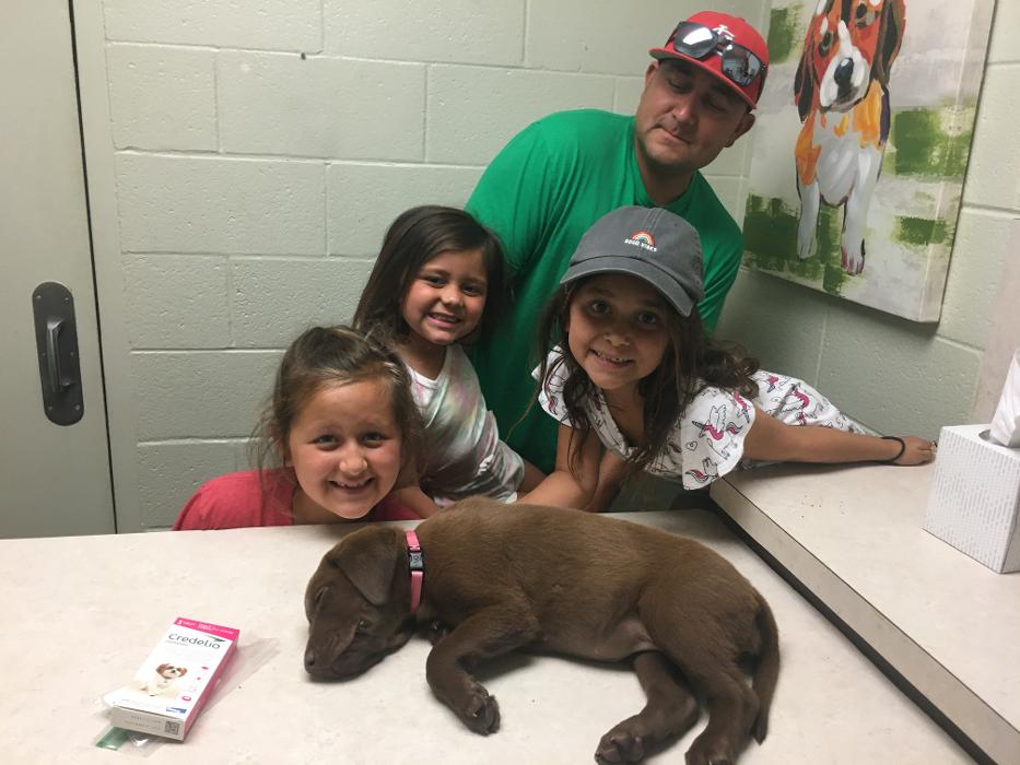 Silver Leaf Animal Hospital - Oklahoma City, OK