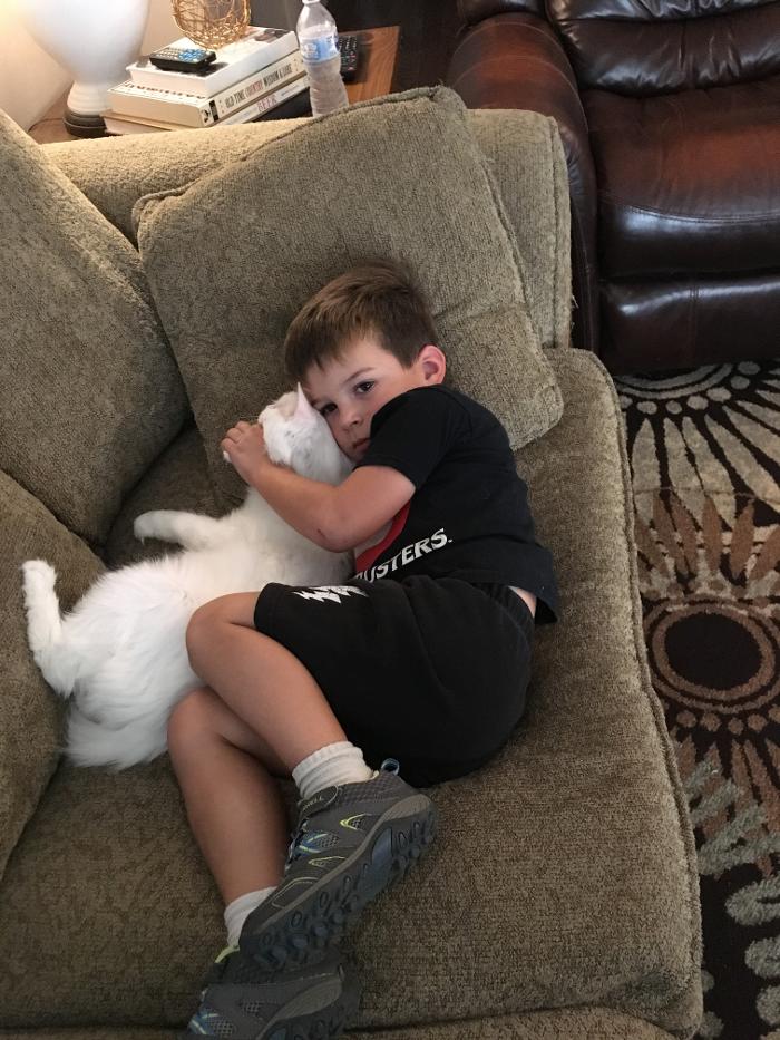 Silver Leaf Animal Hospital - Oklahoma City, OK