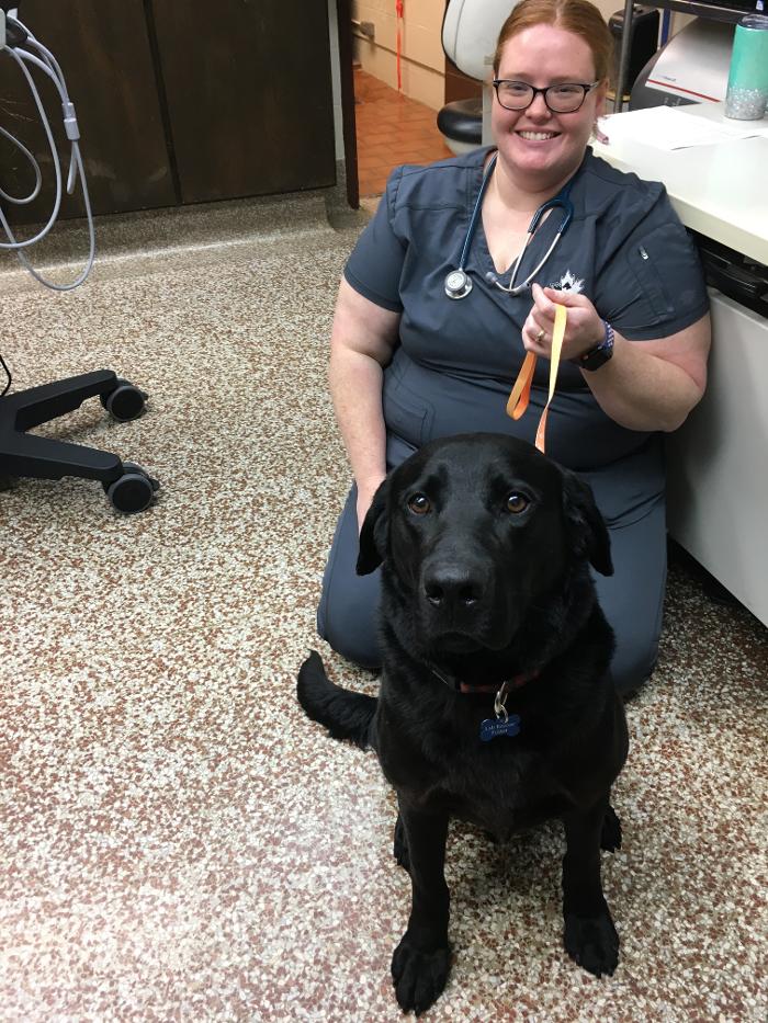 Silver Leaf Animal Hospital - Oklahoma City, OK