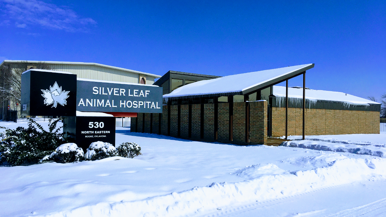 Silver Leaf Animal Hospital - Oklahoma City, OK