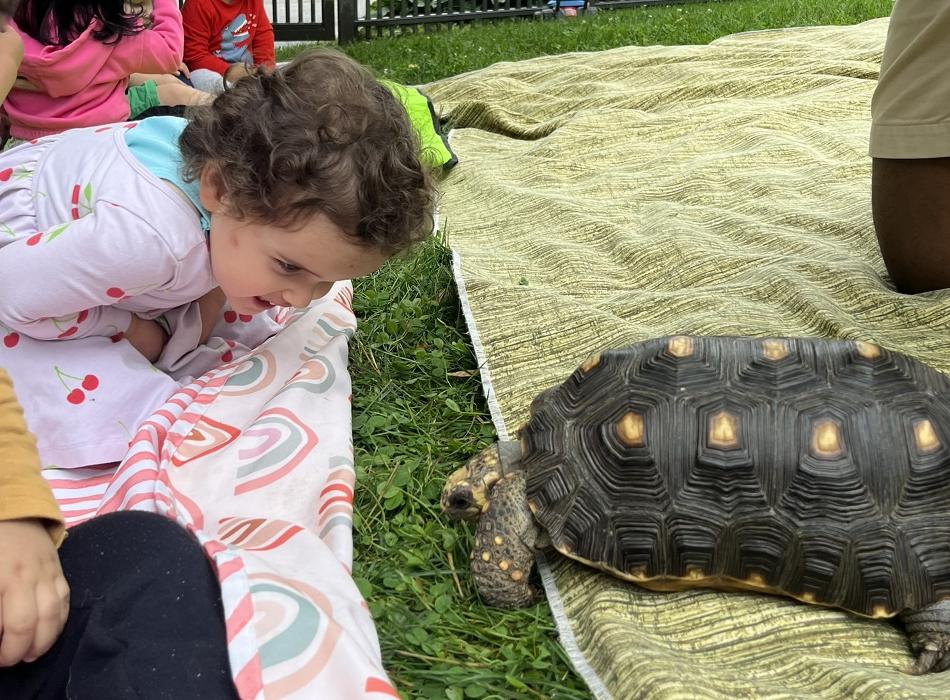 The Children's Center of New Milford, Inc - New Milford, CT