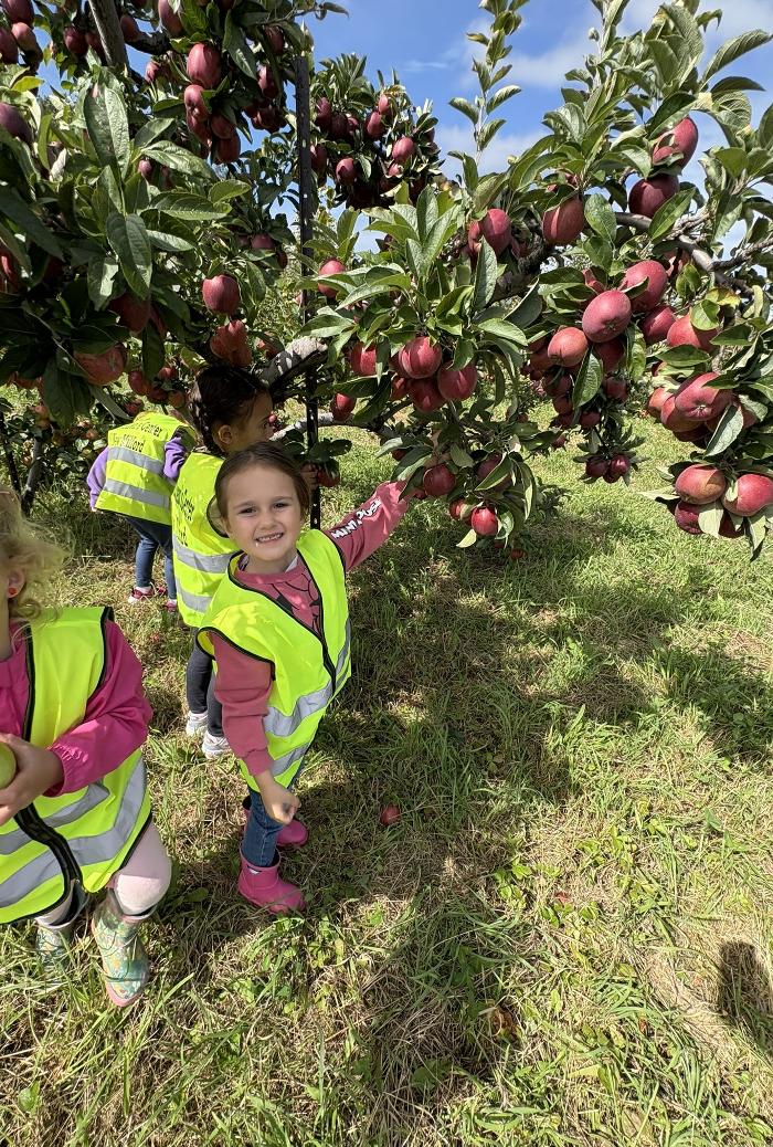 The Children's Center of New Milford, Inc - New Milford, CT
