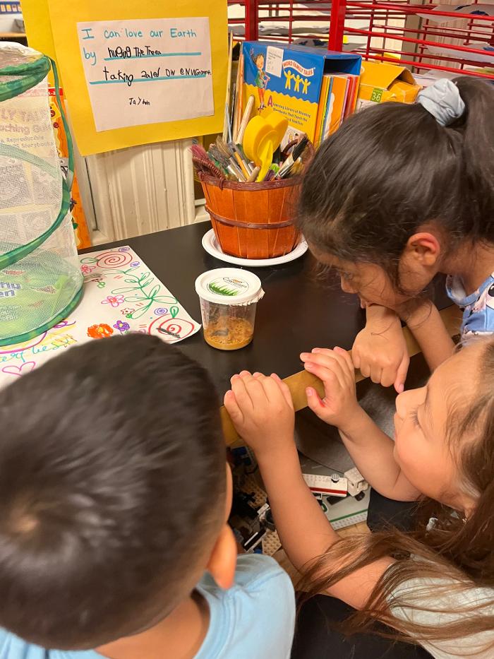 The Children's Center of New Milford, Inc - New Milford, CT