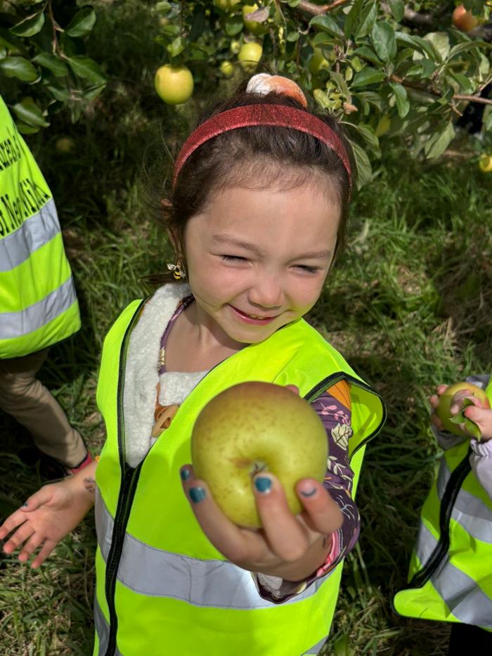 The Children's Center of New Milford, Inc - New Milford, CT