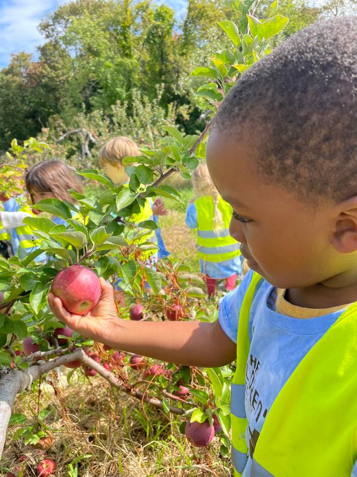 The Children's Center of New Milford, Inc - New Milford, CT