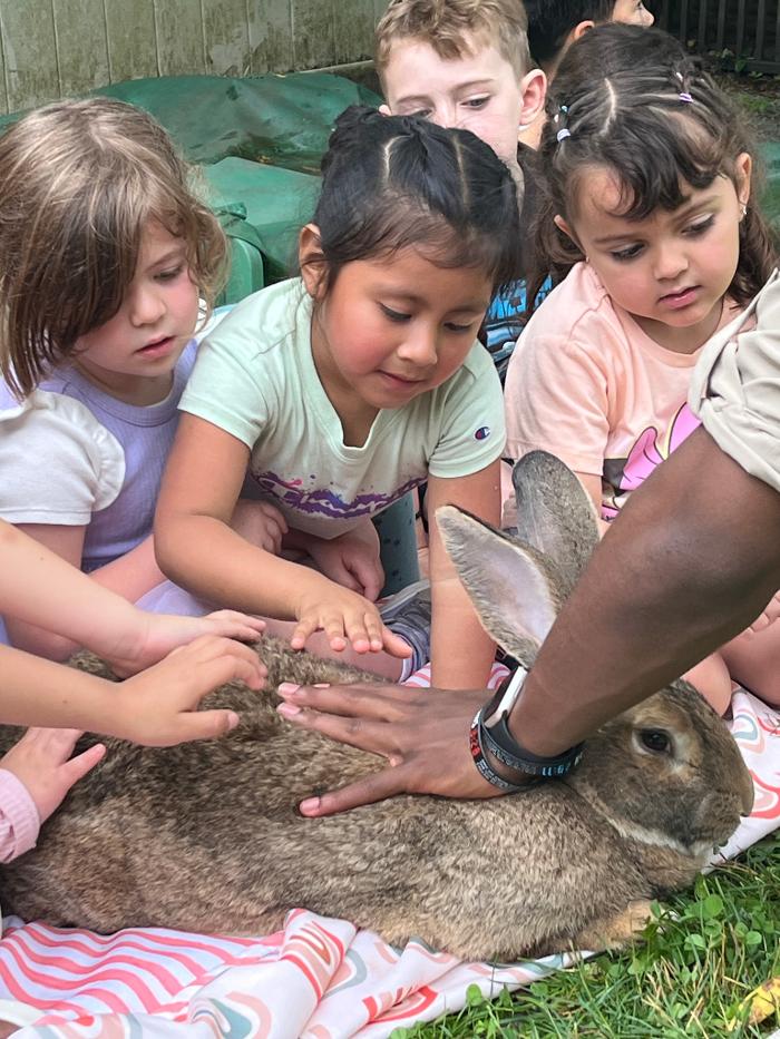 The Children's Center of New Milford, Inc - New Milford, CT